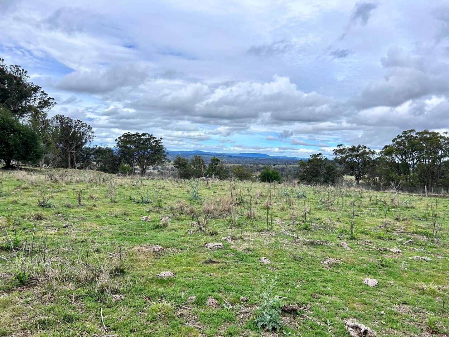 Lot 102 Jenkyn Lane, Uralla NSW 2358, Image 0