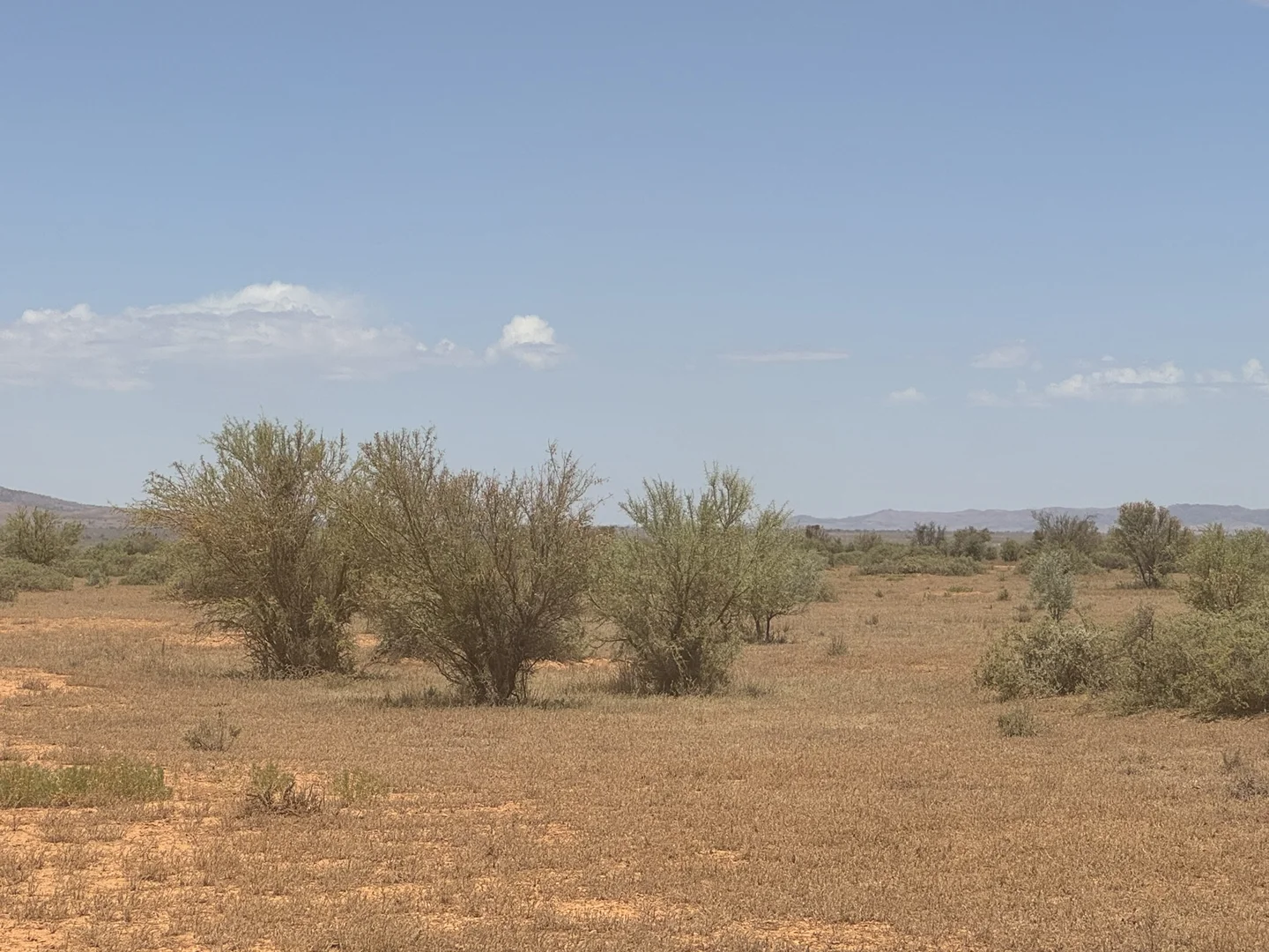 Image 14