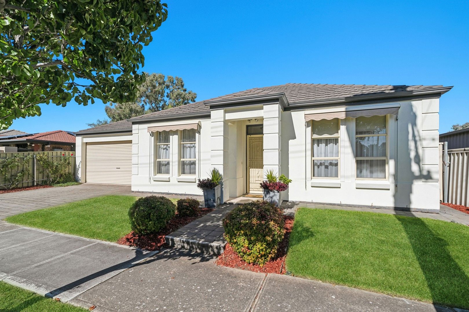 20 Albert Avenue, Camden Park SA 5038, Image 0