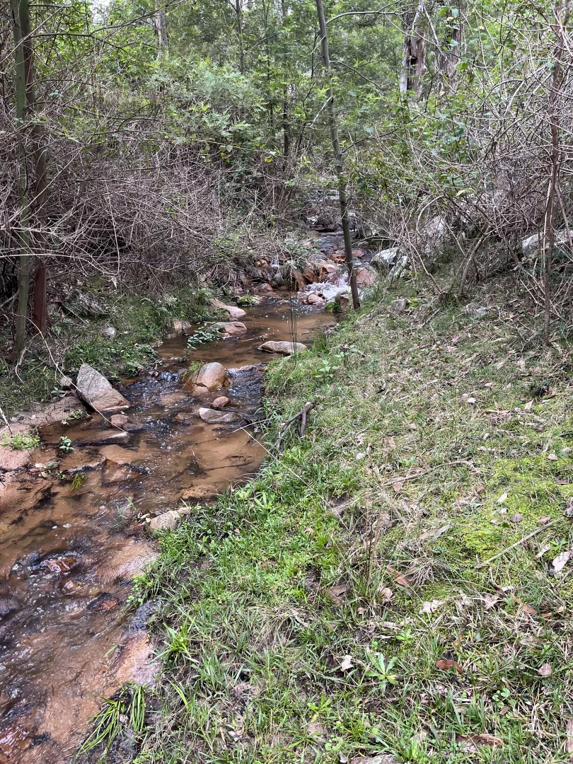 Additional image 6 of 7266 Mount Lindesay Road, Liston NSW 2372