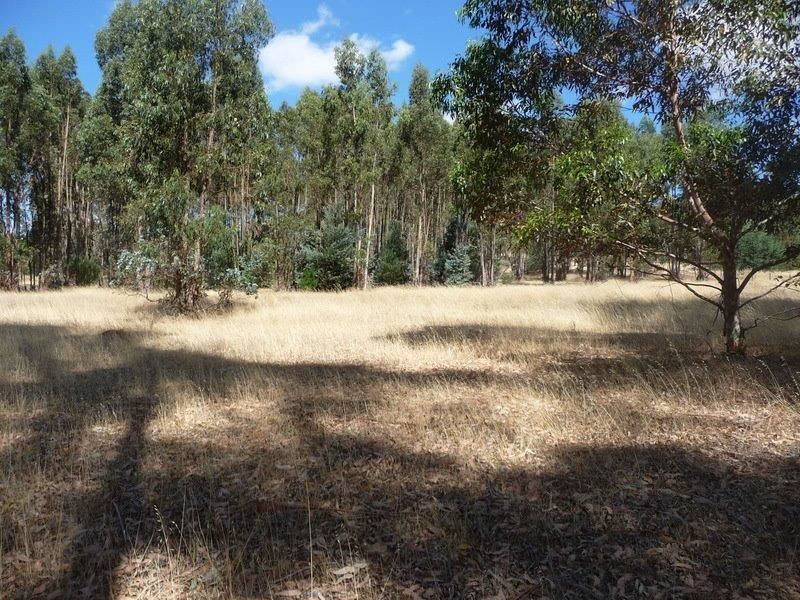 Lot 223 Henderson Rd, Bridgetown WA 6255, Image 0