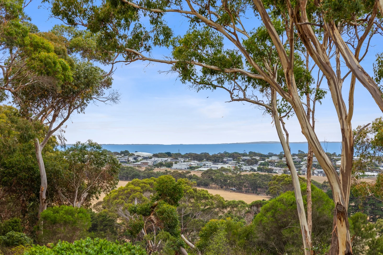 Additional image 10 of 231 Grossmans Road, Torquay VIC 3228