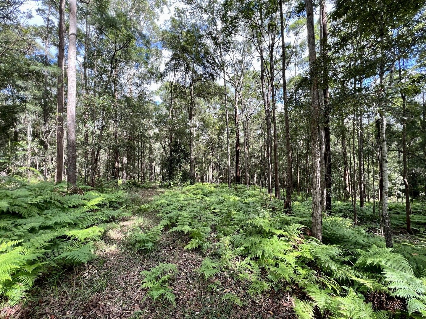 Lot 8/475 Verrierdale Rd, Verrierdale QLD 4562, Image 0