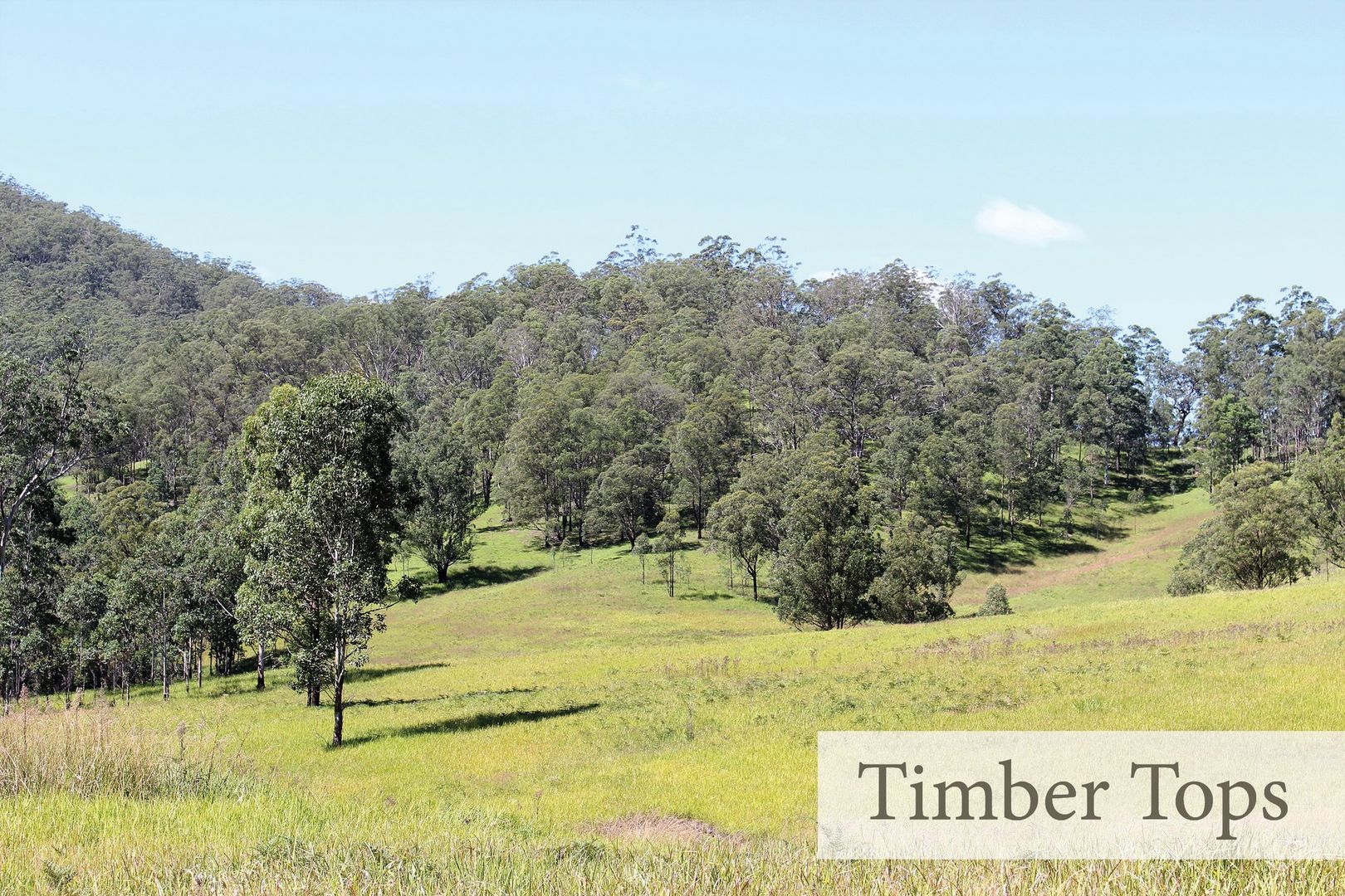 Proposed Lot 106 Mud Hut Road, Gloucester NSW 2422, Image 1