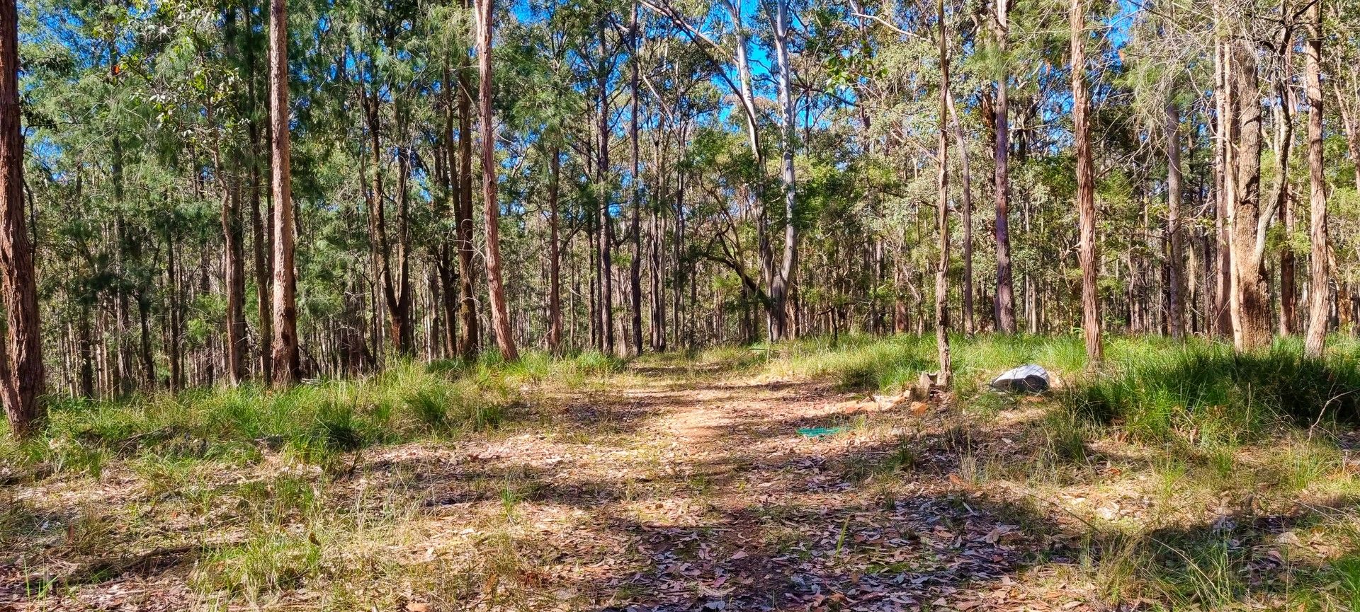 168 Bloomfield Road, Jilliby NSW 2259, Image 0