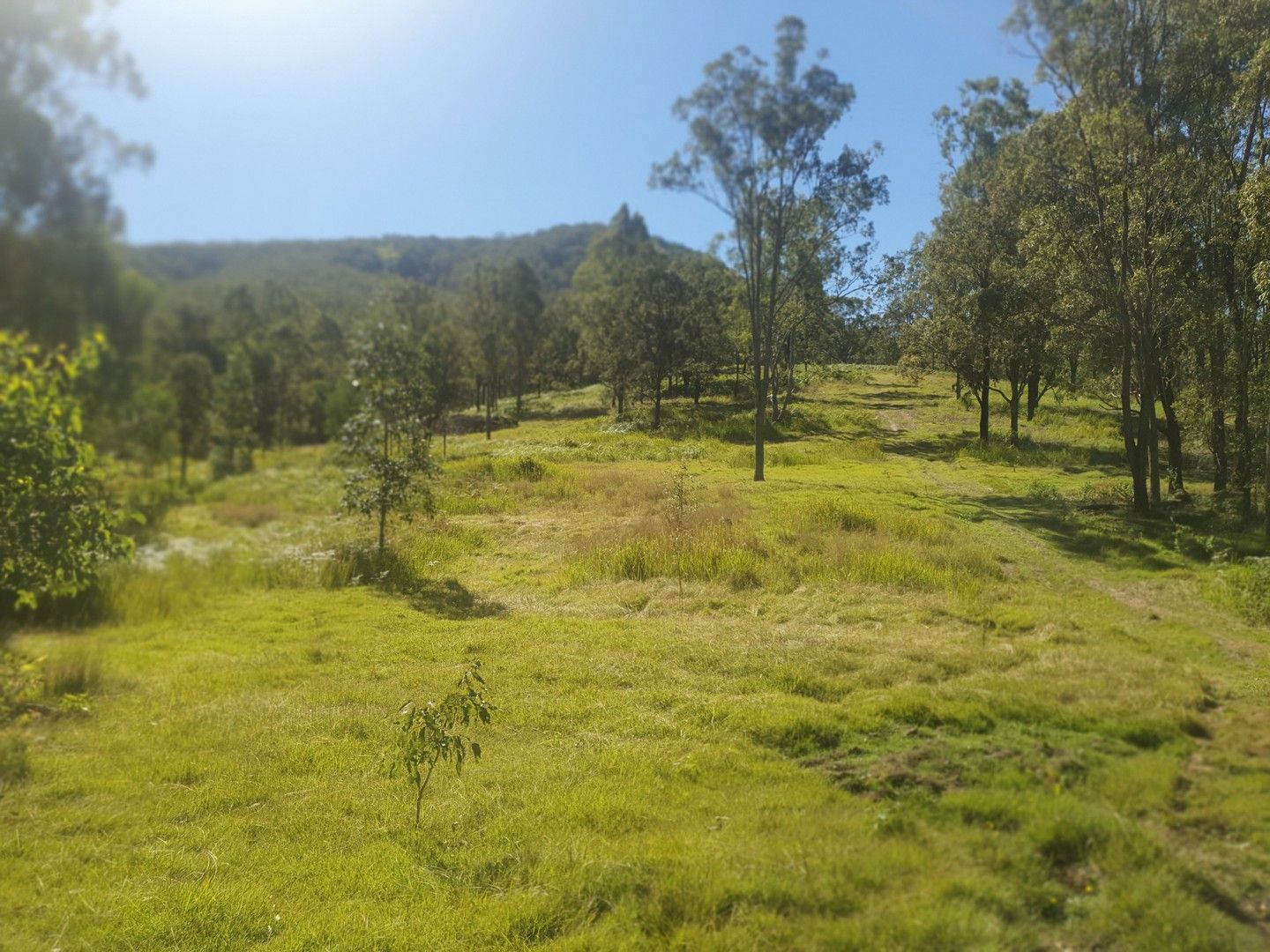 Lot 2 Scrubby Creek Road, Stony Creek QLD 4514, Image 0