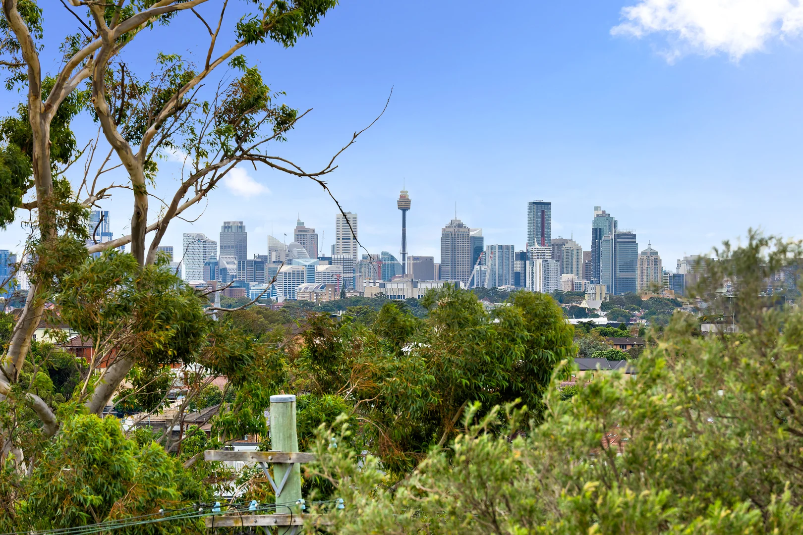 Additional image 2 of 86 Homer Street, Earlwood NSW 2206