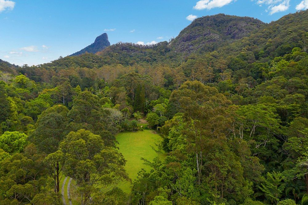 497 Mount Warning Road,, Mount Warning NSW 2484, Image 0