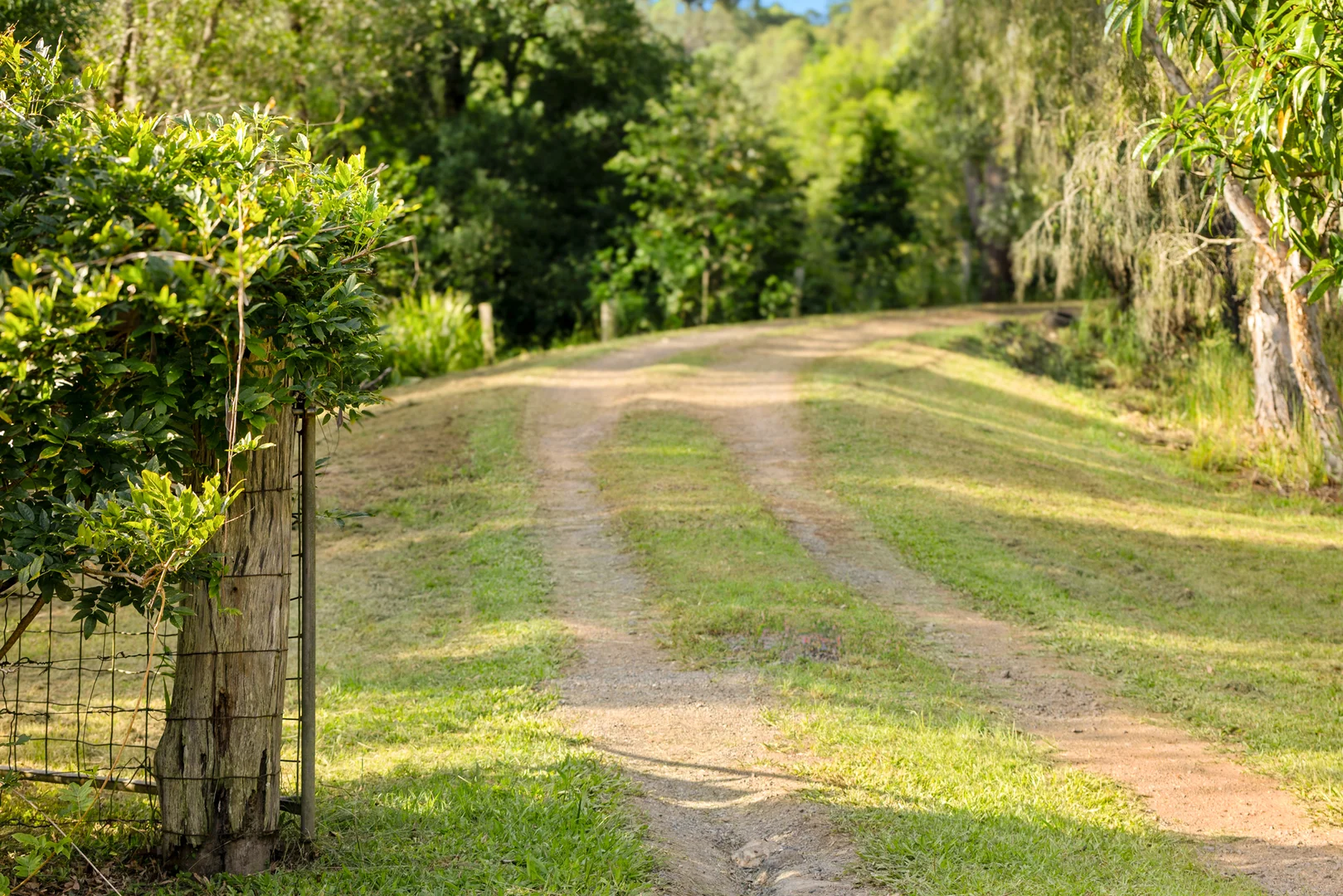 Additional image 21 of 62 Old Mill Road, Carters Ridge QLD 4563