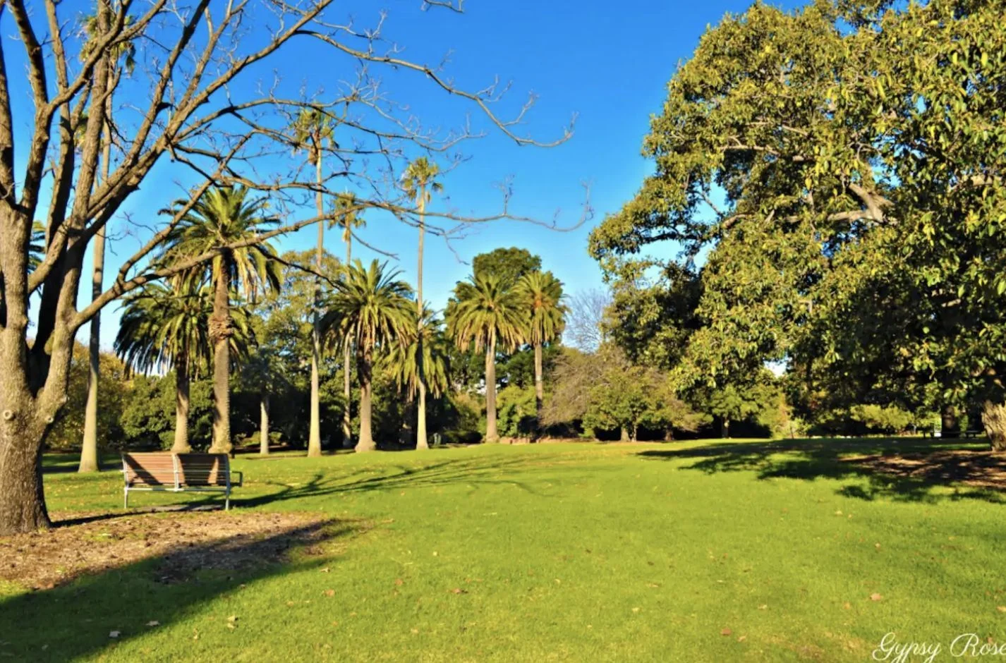 Additional image 14 of 6/24A Dickens Street, Elwood VIC 3184