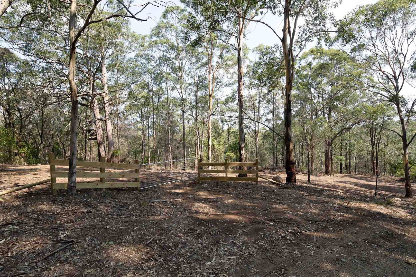 Lot 4 Vogeles Road, Martins Creek NSW 2420, Image 1