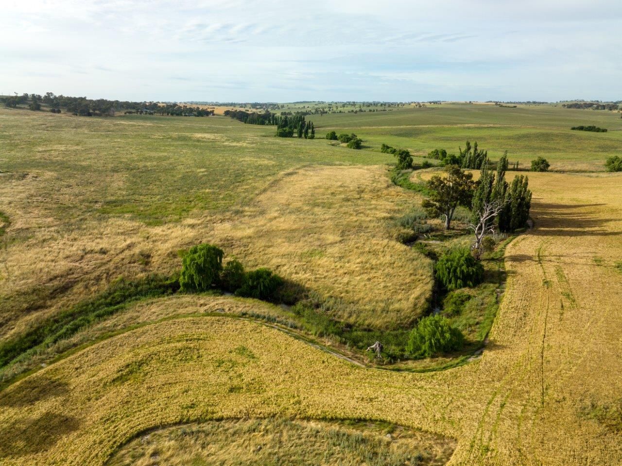 'Nimby West' 282 Nimby Road, Harden NSW 2587, Image 1