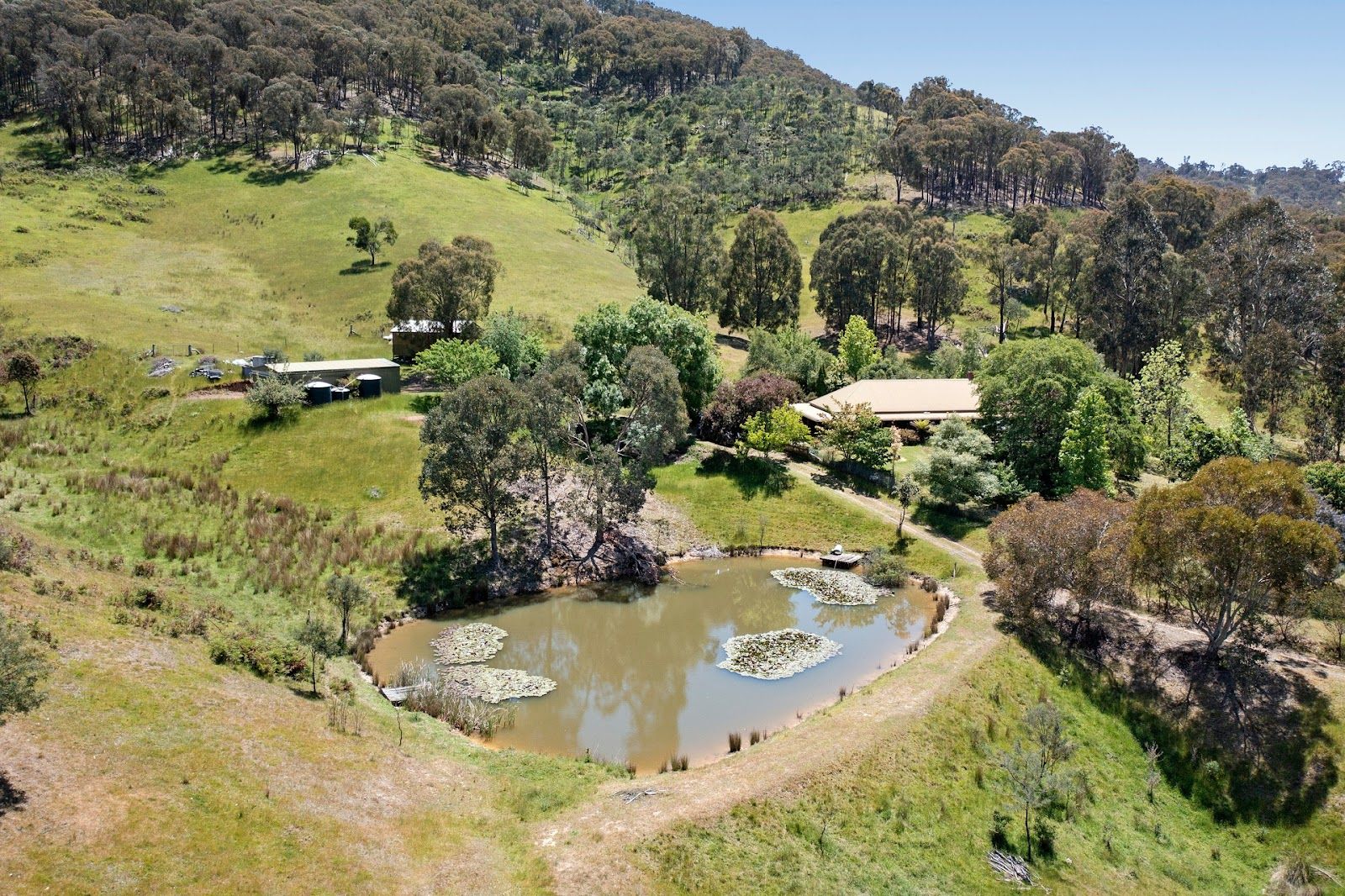 3 bedrooms Rural in 909 Maintongoon Road MAINTONGOON VIC, 3714