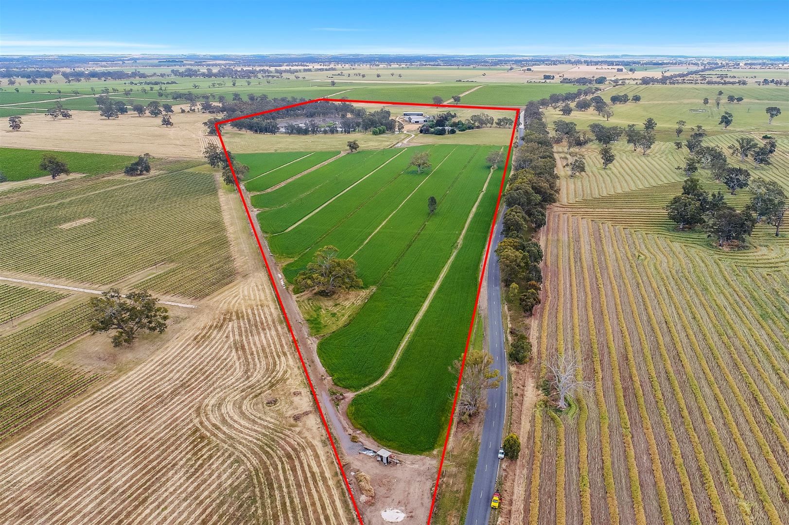 113 Cannon Ball Hill Road, Mundulla SA 5270 Specialist Farm for Sale