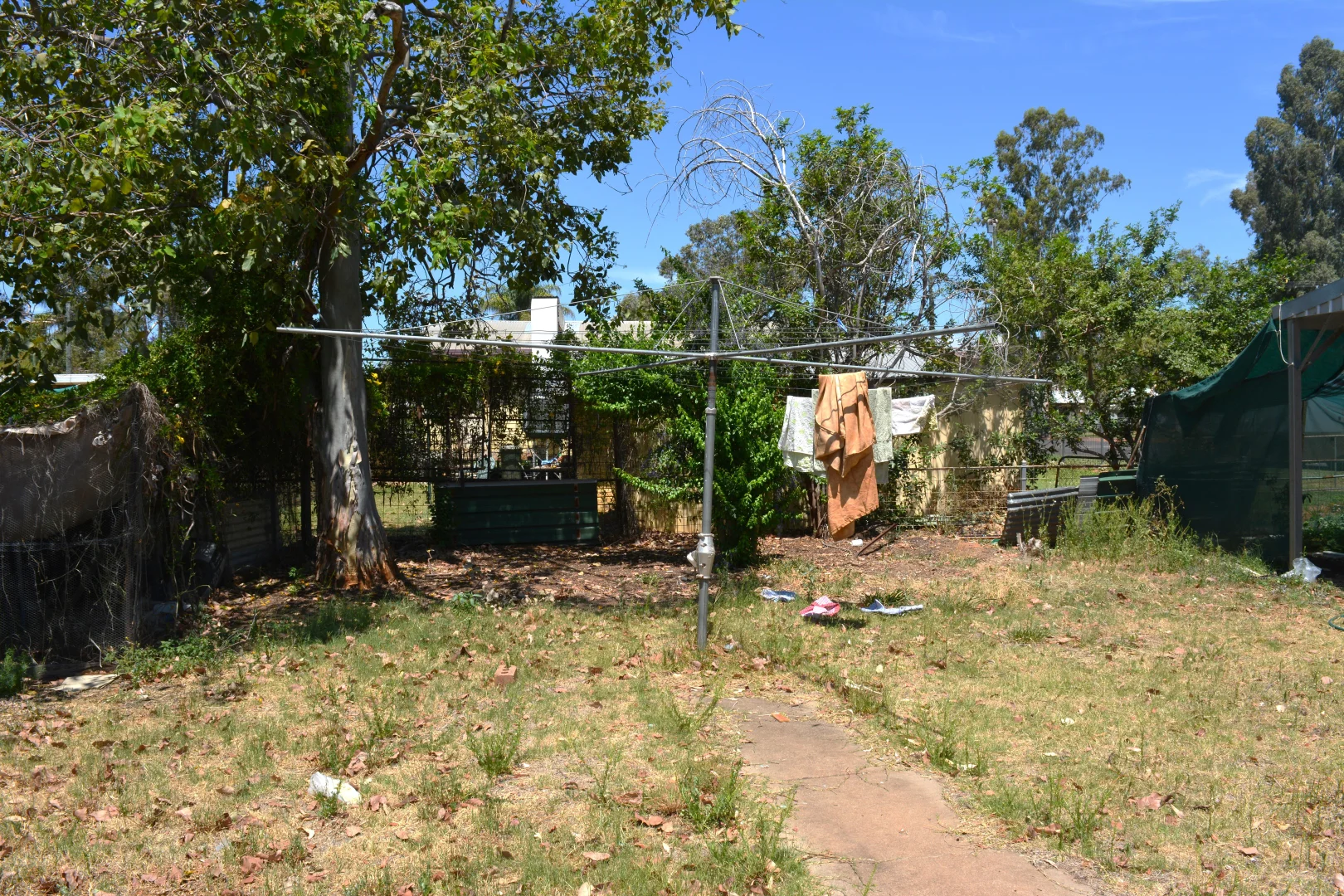 Image 20