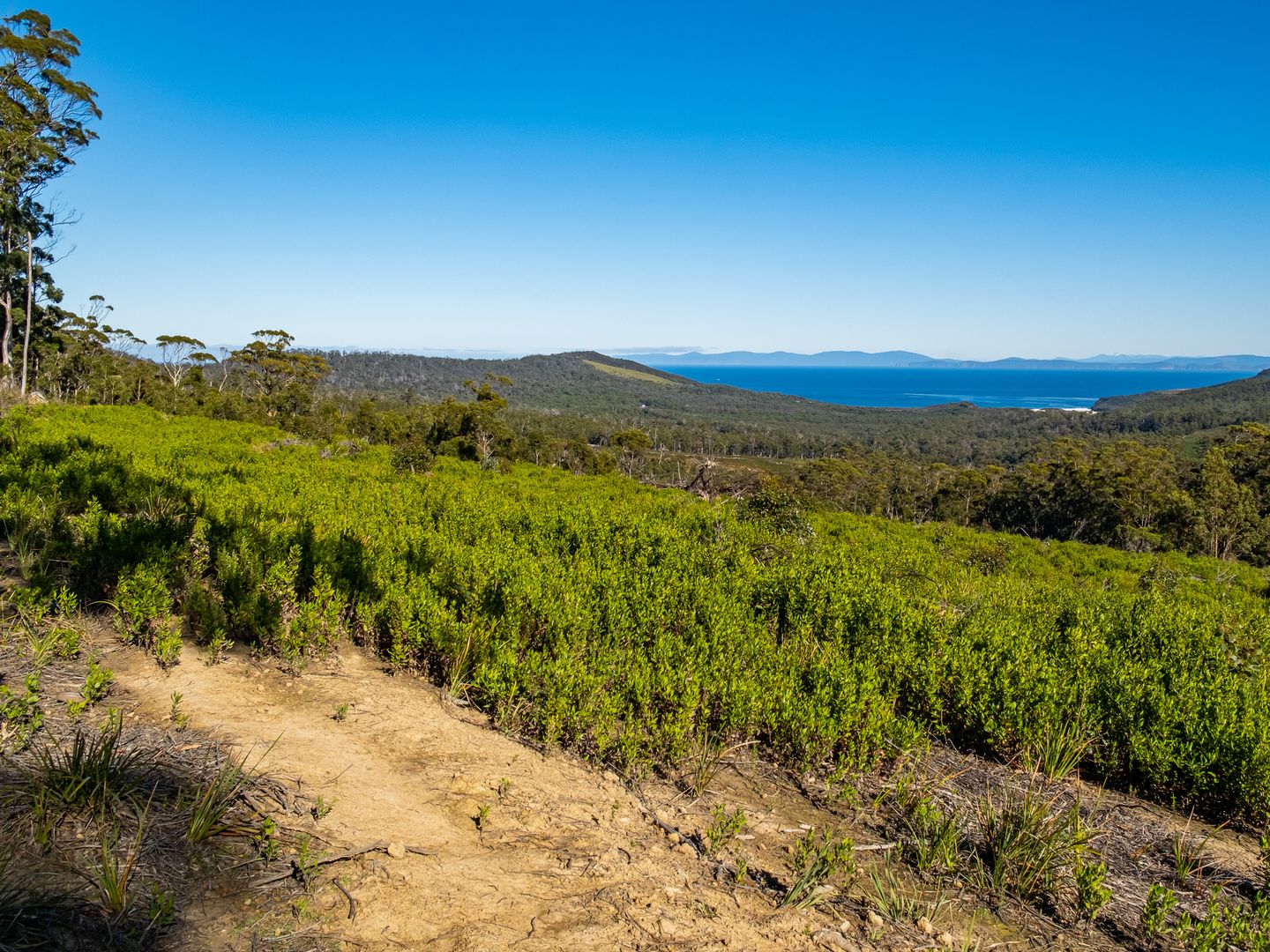 Lot A 390 Hurdle Road, Saltwater River TAS 7186, Image 2