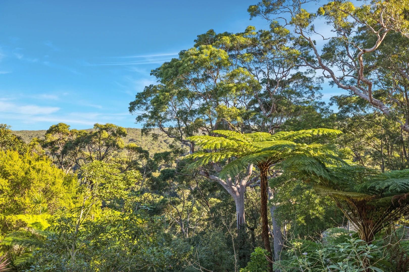 Image 15