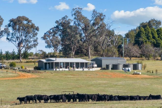 Picture of "Hilltops" 262 Cooringle Road, HARDEN NSW 2587