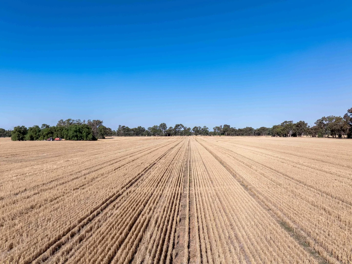 96 Odwyer Road, Tabilk VIC 3607