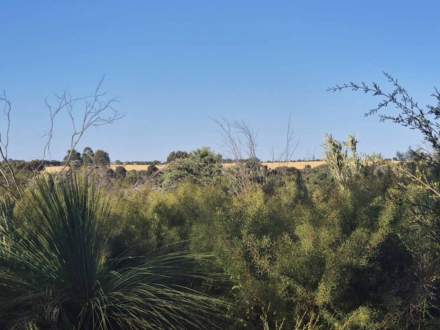 Additional image 5 of 17 Blackboy Court, Woodridge WA 6041