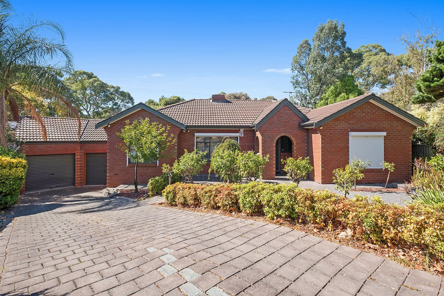 8 Ainsley Court, Athelstone SA 5076, Image 0