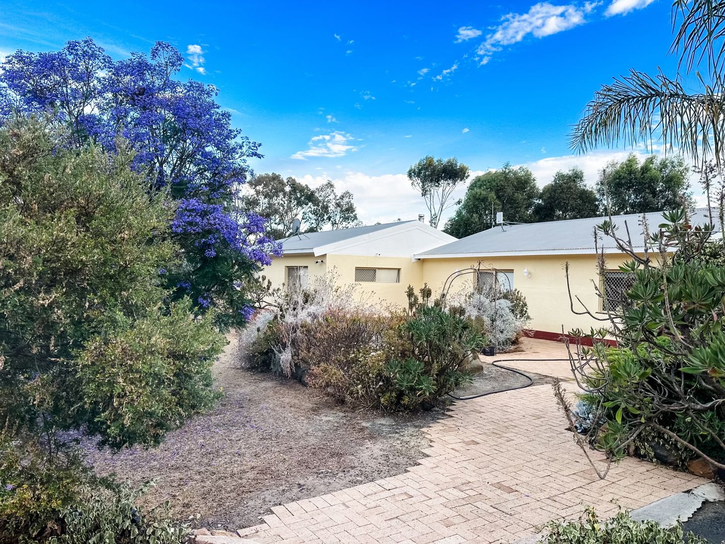 24 Curlew Street, Katanning WA 6317, Image 2