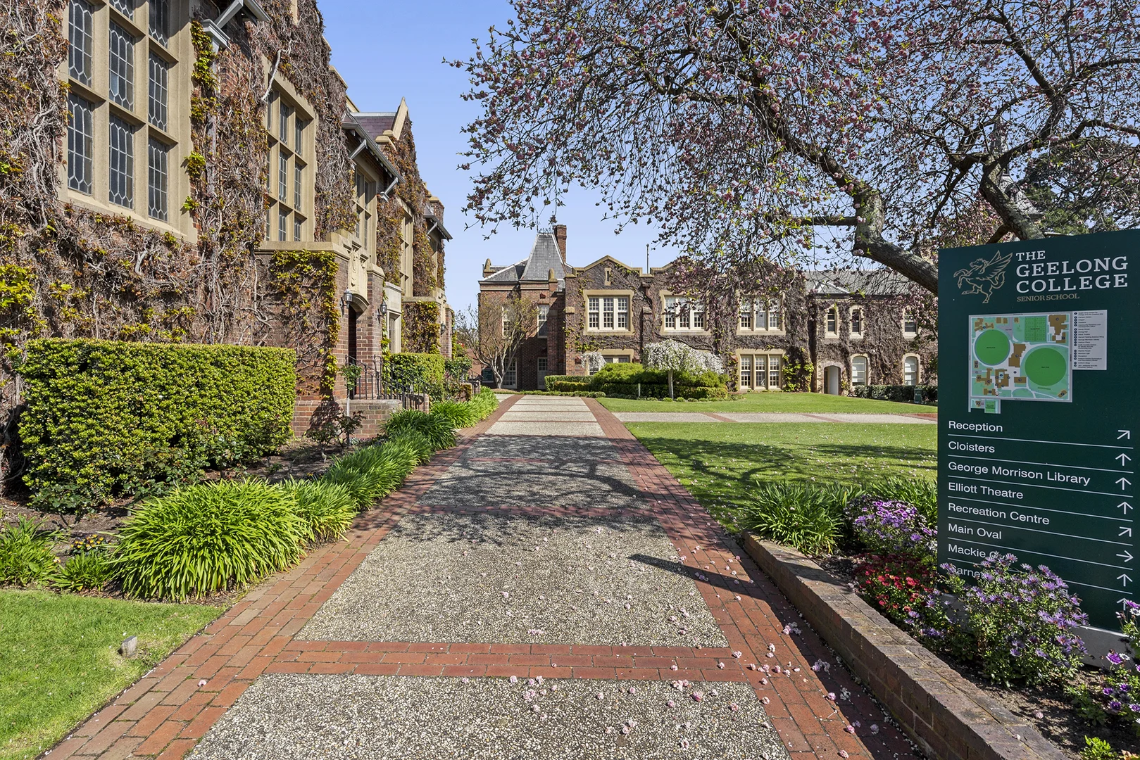 Additional image 18 of 1B Frank Street, Newtown VIC 3220