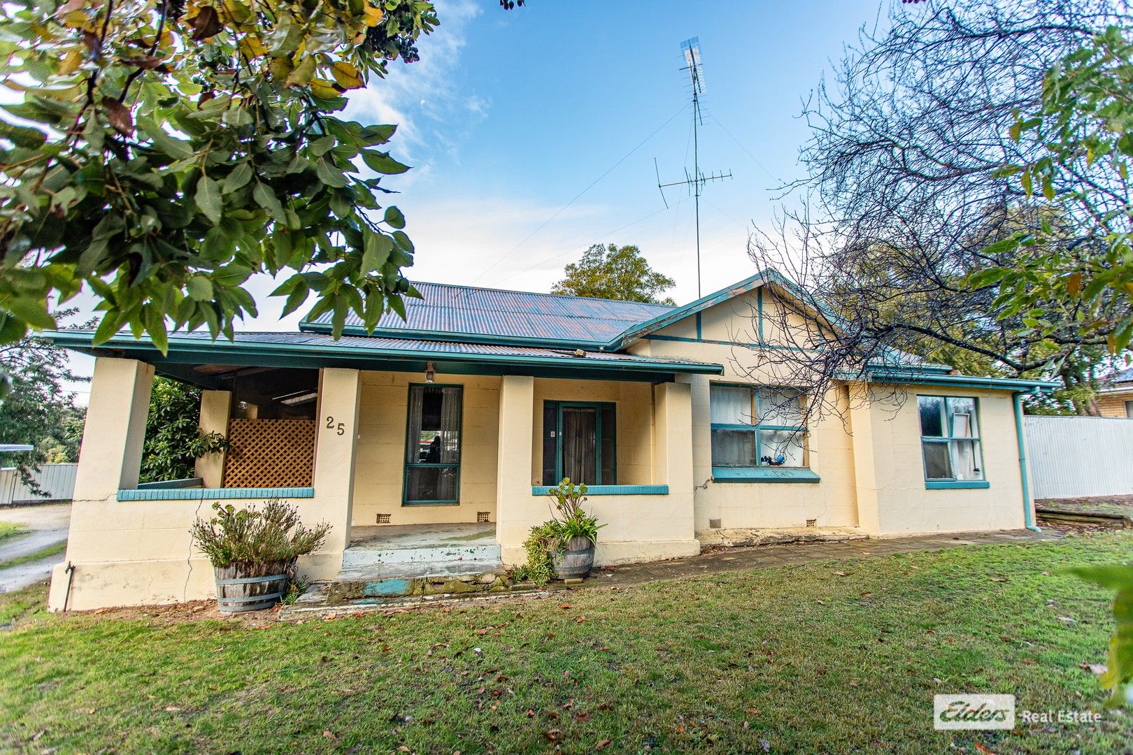 25 Cedar Avenue, Naracoorte SA 5271, Image 0