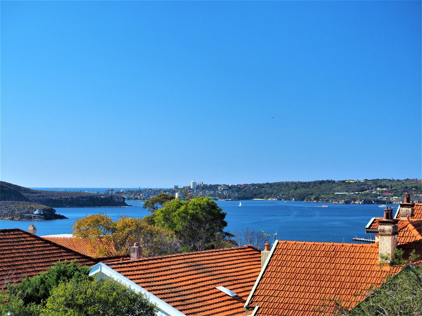 2 bedrooms Apartment / Unit / Flat in 2/30 Muston Street MOSMAN NSW, 2088