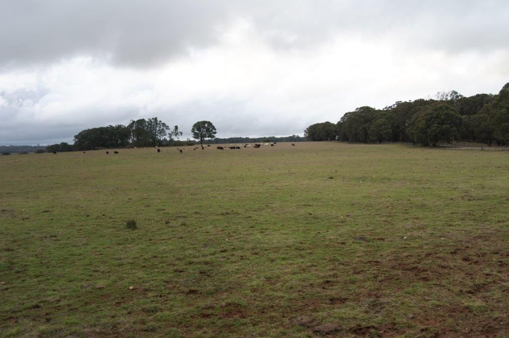 Lot 336 245 Gorham Road, Crookwell NSW 2583, Image 2