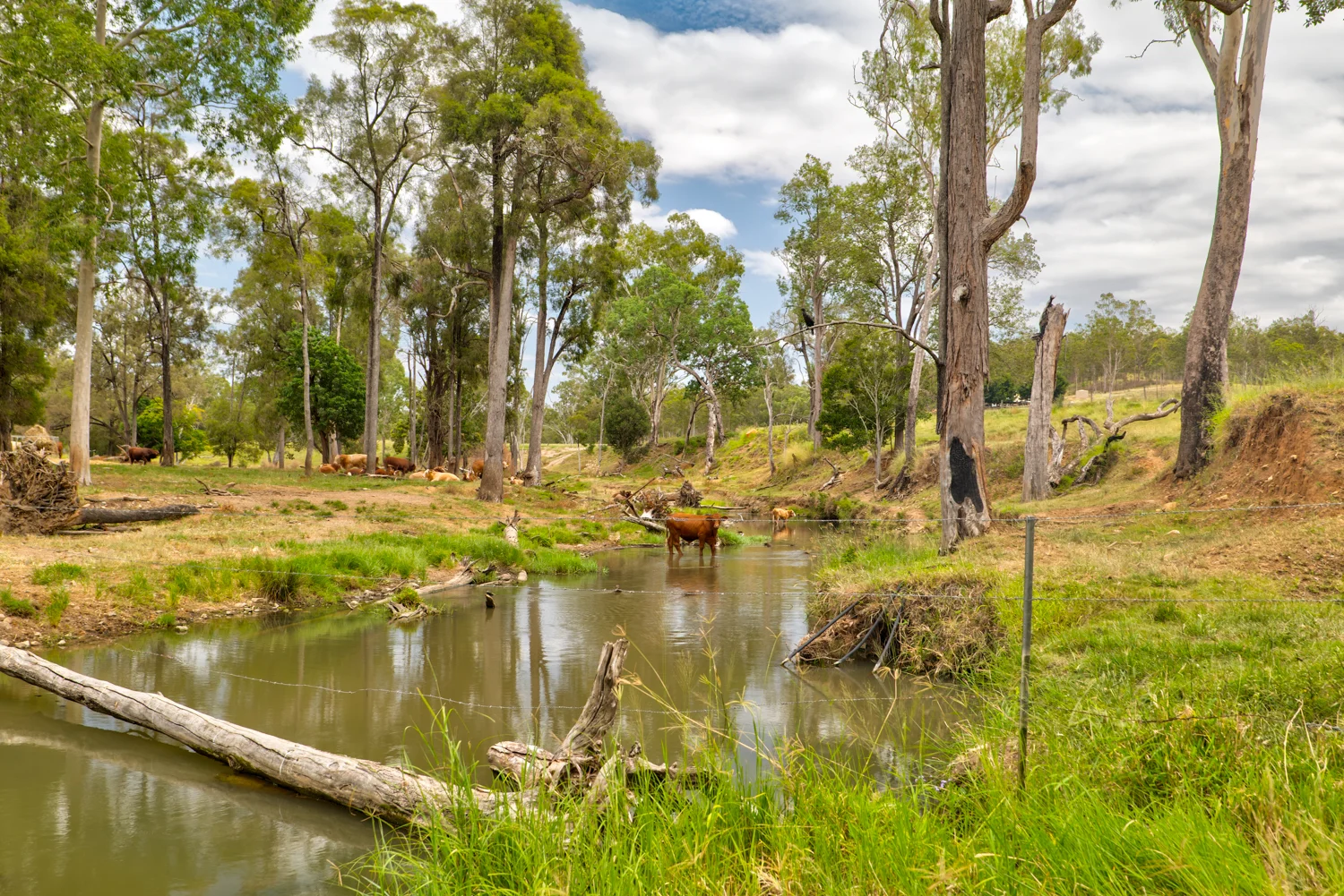 Additional image 25 of 1706 ESK CROWS NEST RD, Biarra QLD 4313