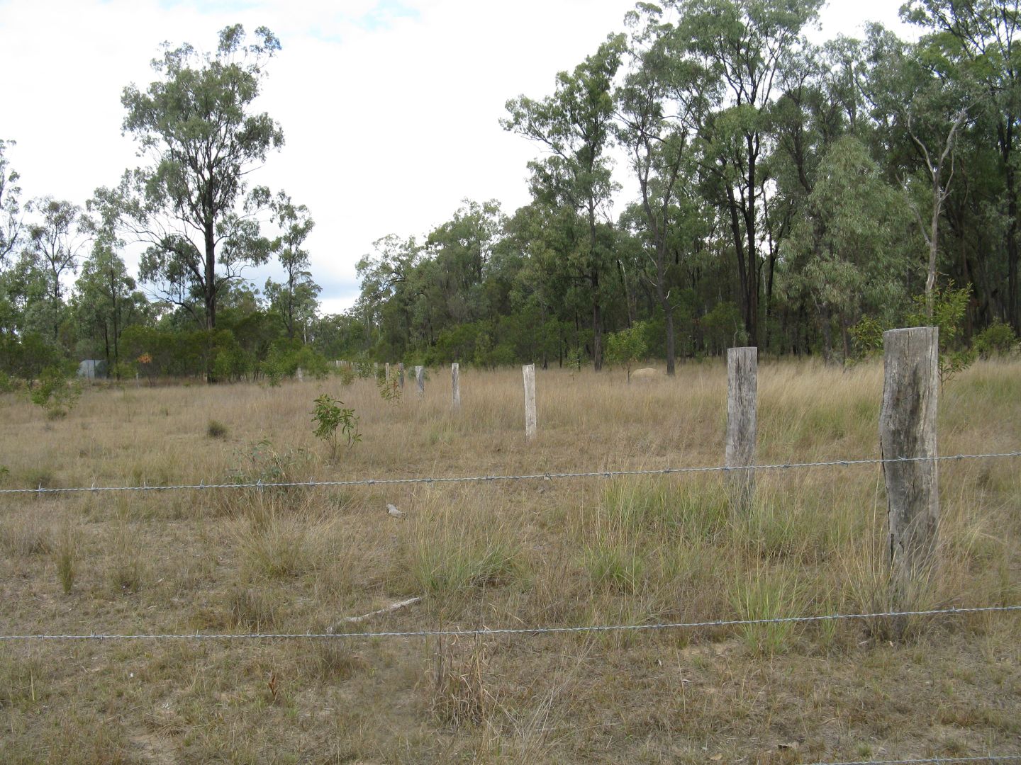 Chinchilla QLD 4413, Image 1