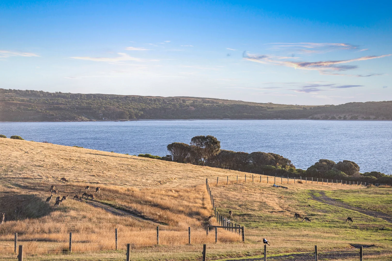 Additional image 27 of 17 Earlshall Drive, San Remo VIC 3925