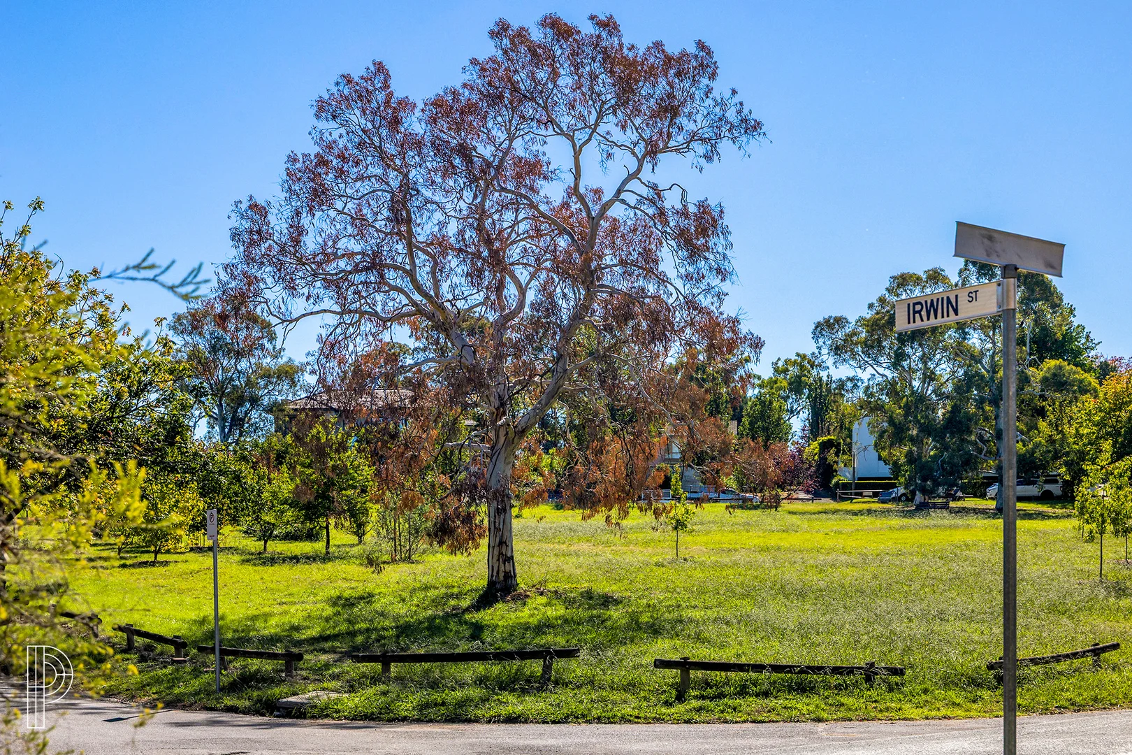 Image 12