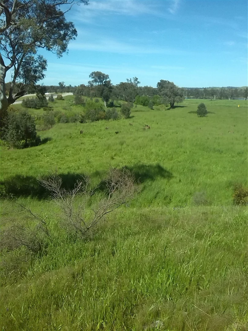 Image 21