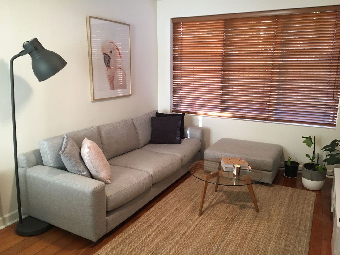 1 bedrooms Apartment / Unit / Flat in 3/62 Lansdowne Road ST KILDA EAST VIC, 3183