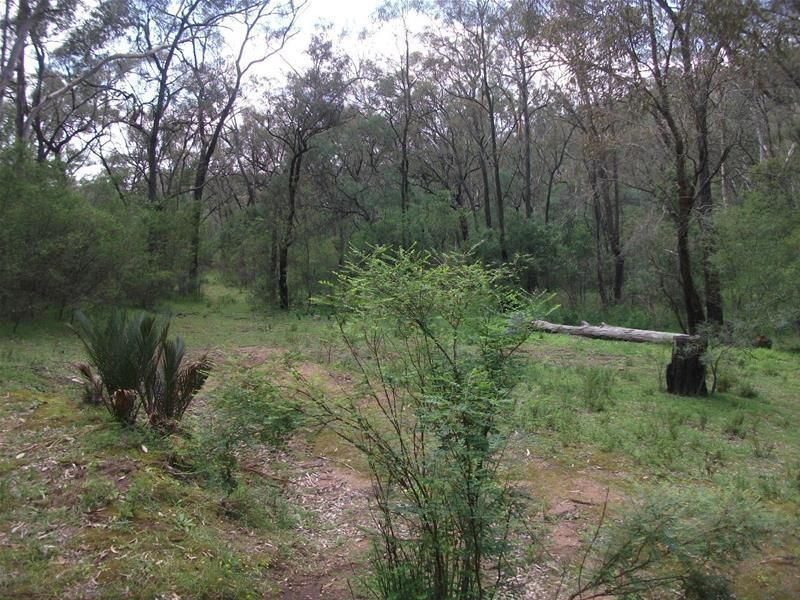 360 Worondi Creek Road, Gungal NSW 2333, Image 1