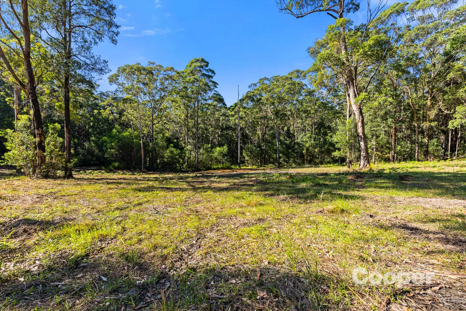 Additional image 12 of 56B Kingiman Road, Woodburn NSW 2538