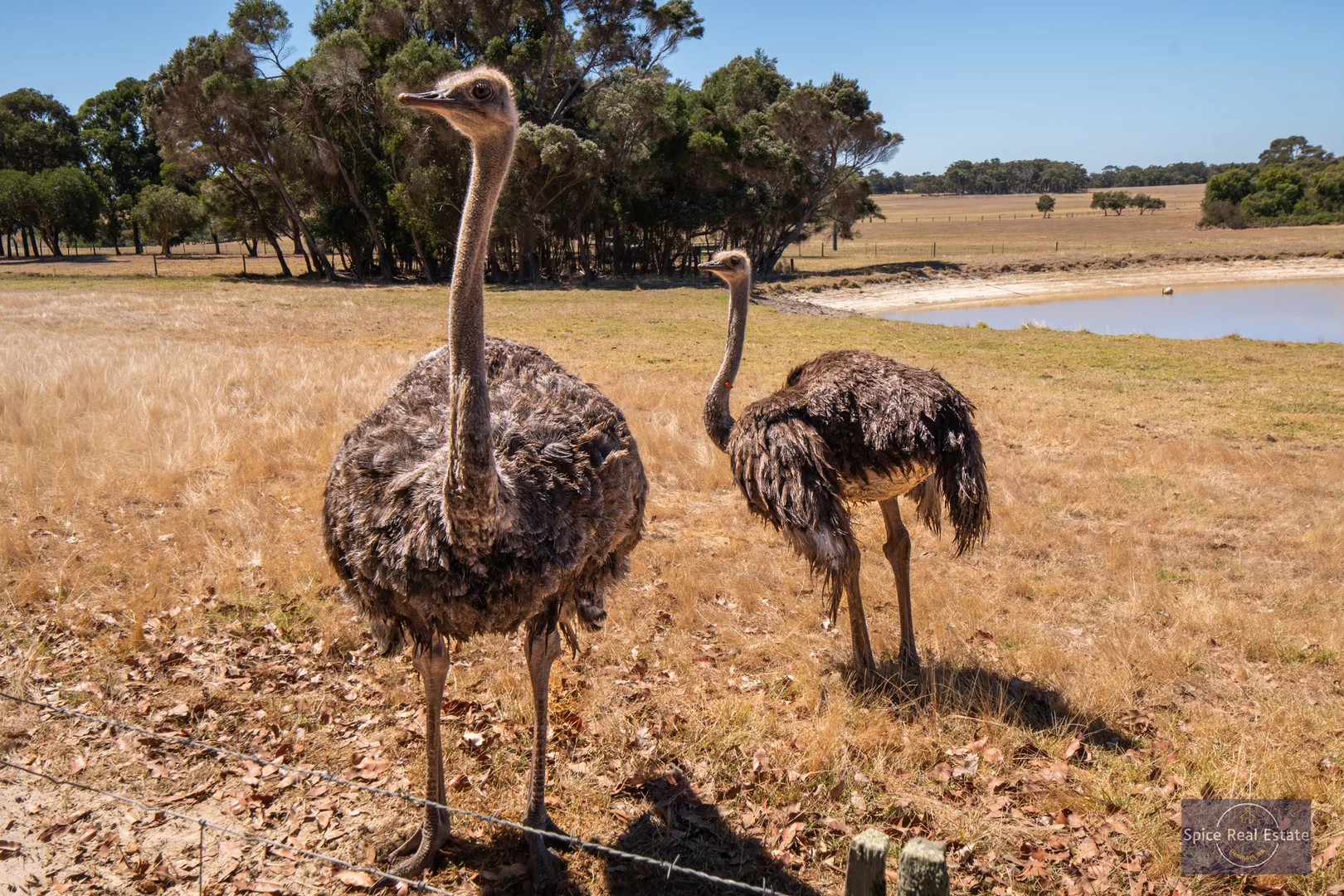 Additional image 8 of 96 Rudgyard Place, Hay WA 6333