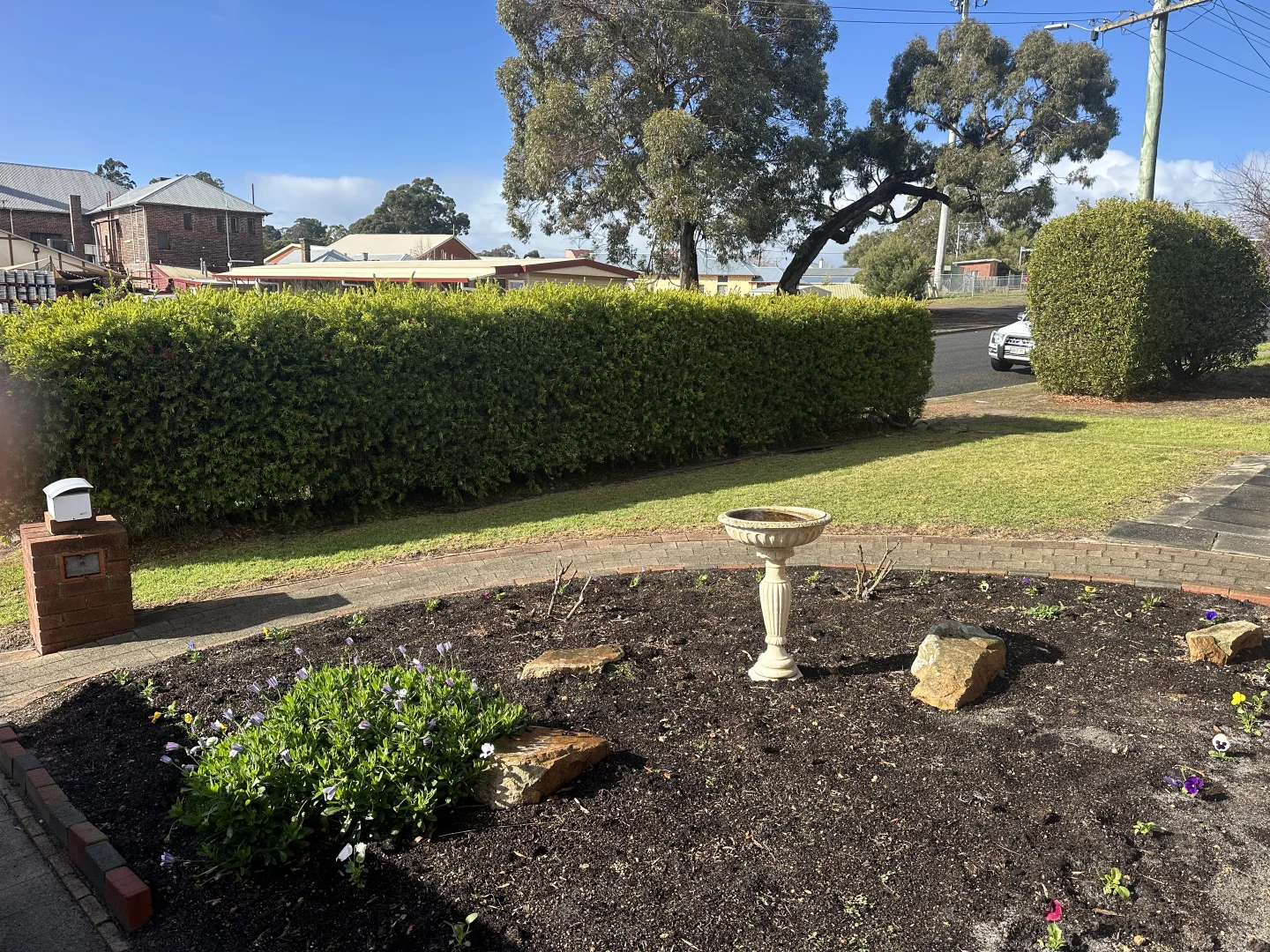 Image 13