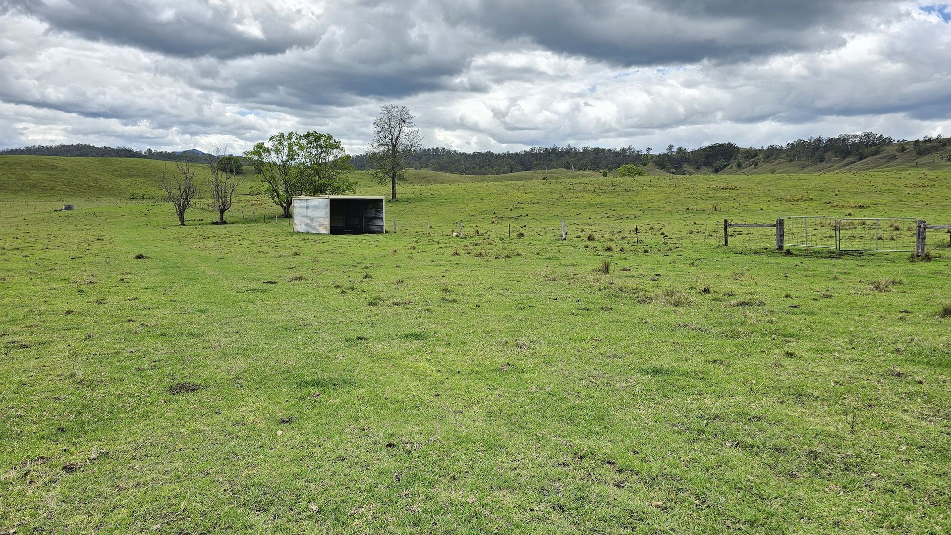 Lot 134 Bentley Road, Cedar Point NSW 2474, Image 2