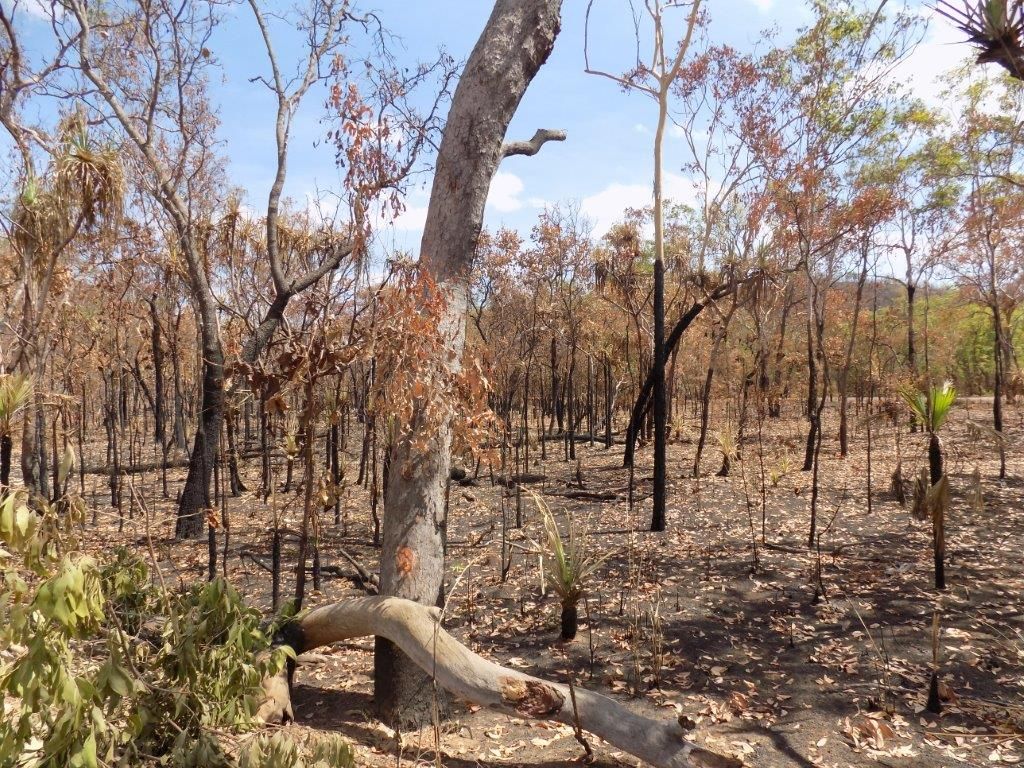 82 Hundred Of Waterhouse, Adelaide River NT 0846, Image 2