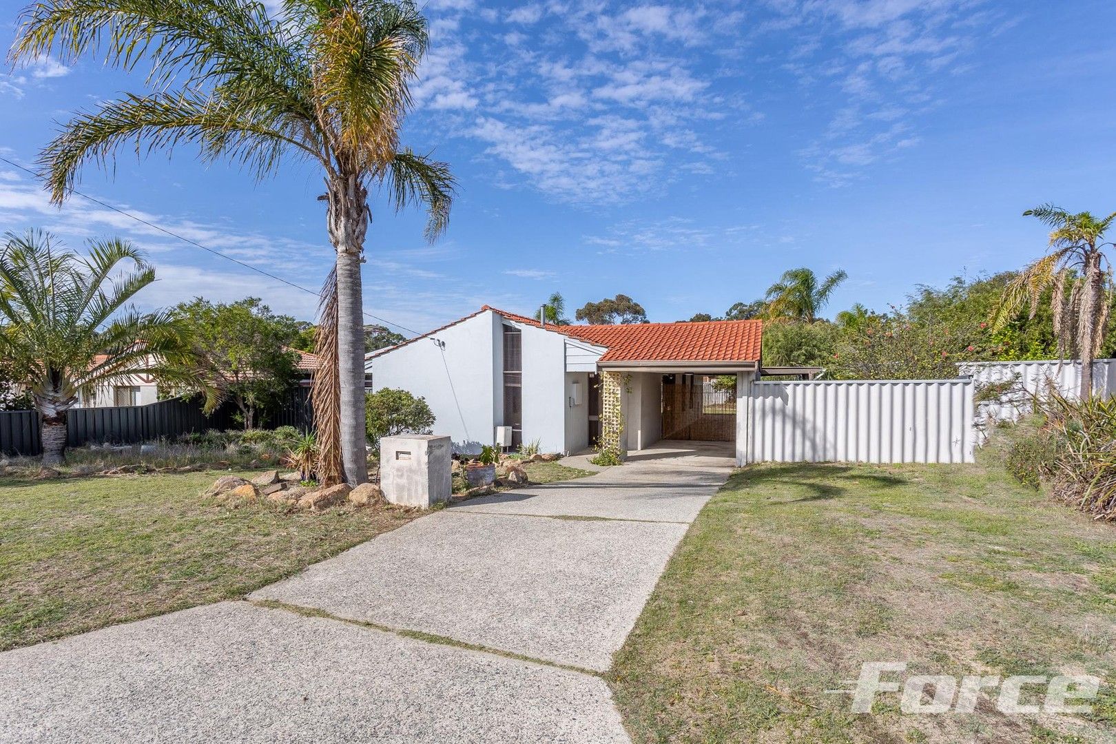 3 Richards Crescent, Craigie WA 6025 House For Rent Domain