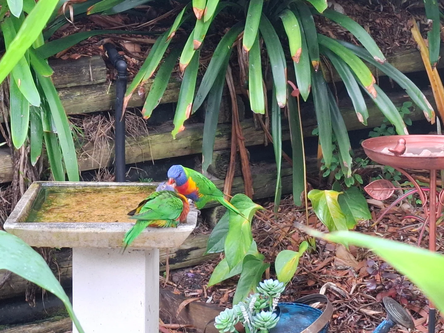 Additional image 31 of Nelson Bay NSW 2315