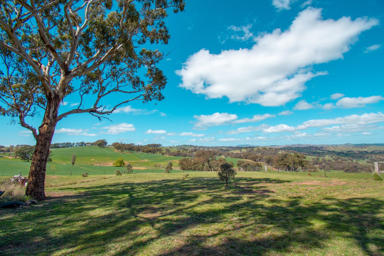 147 Hagars Lane, Forest Reefs NSW 2798, Image 2