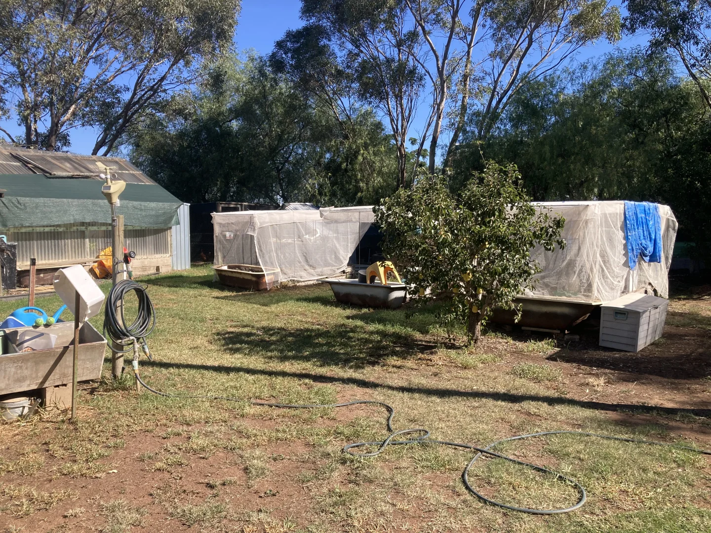 Additional image 16 of 2462 Goldfields Way, Reefton NSW 2666