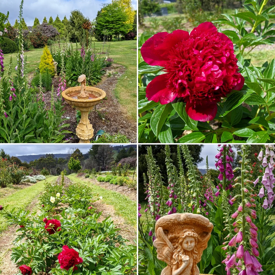 Additional image 39 of 107 Mill Road, Batlow NSW 2730