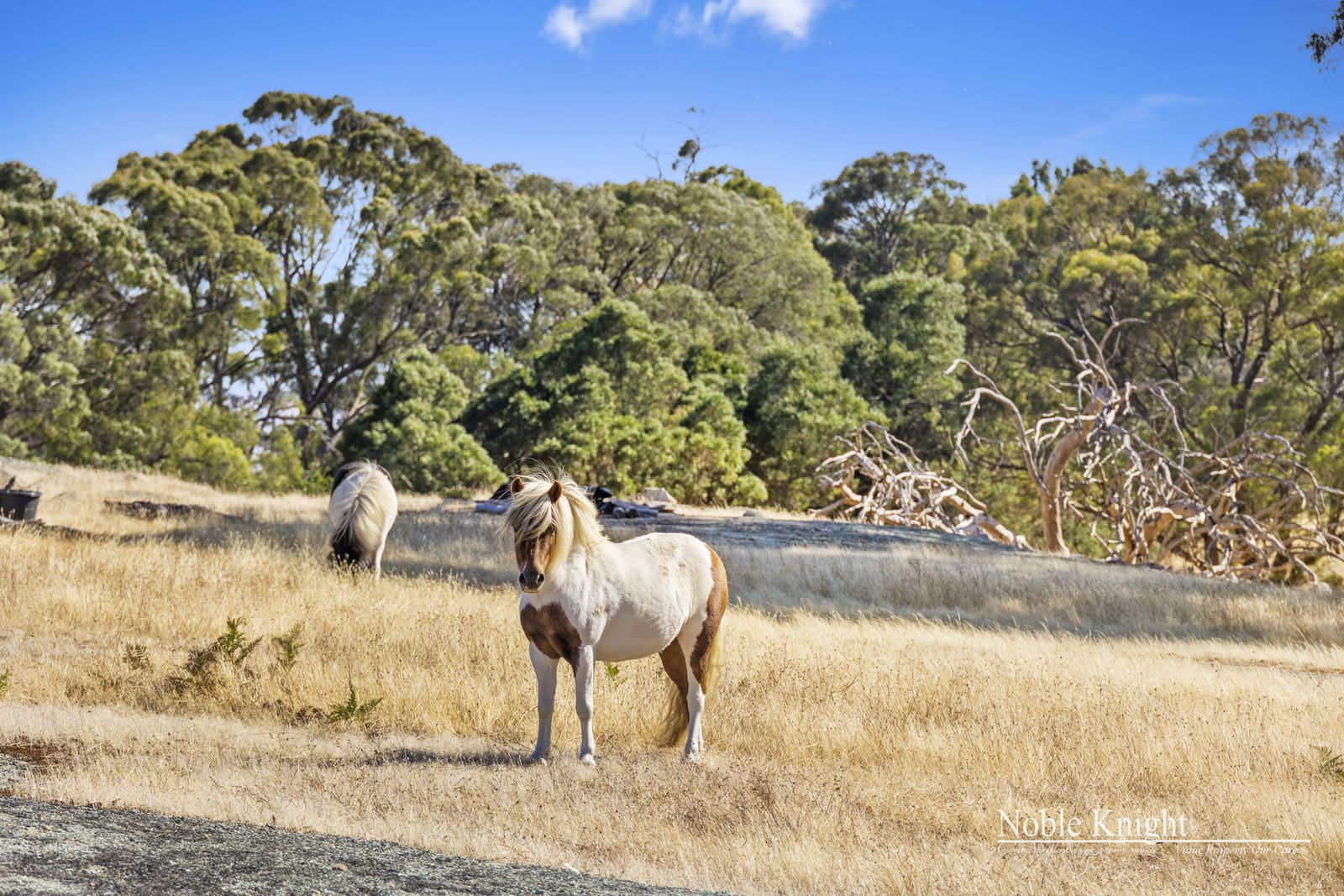 85 Granite Hills Road, Highlands VIC 3660, Image 1