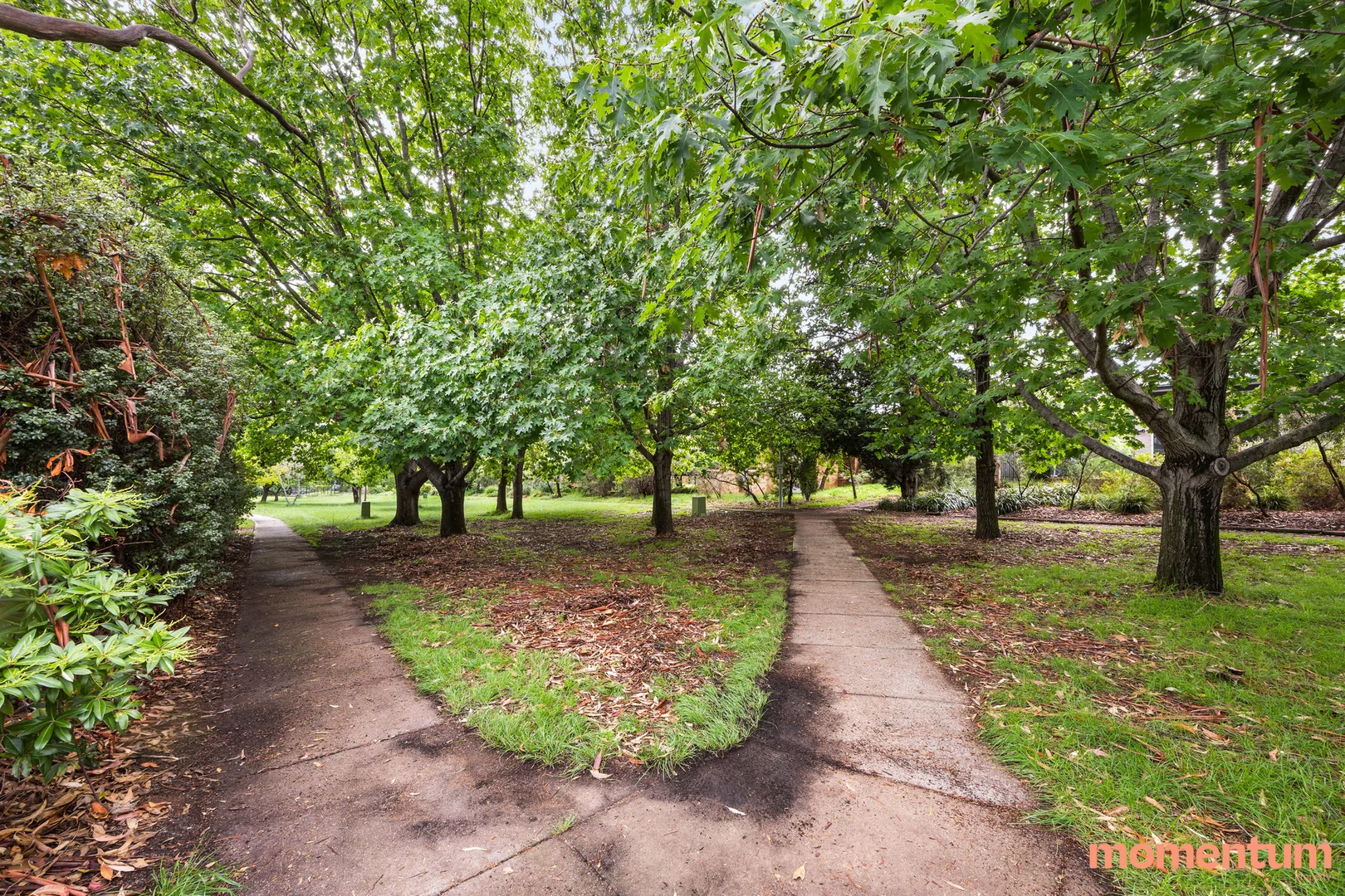 Additional image 23 of 18 Argyle Place, Curtin ACT 2605