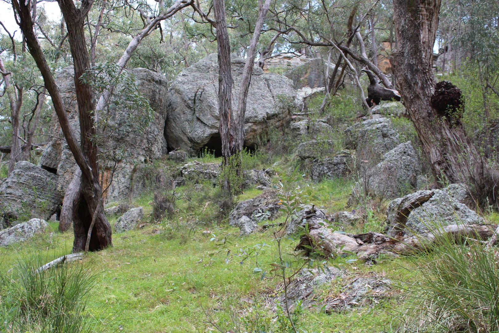Image 9